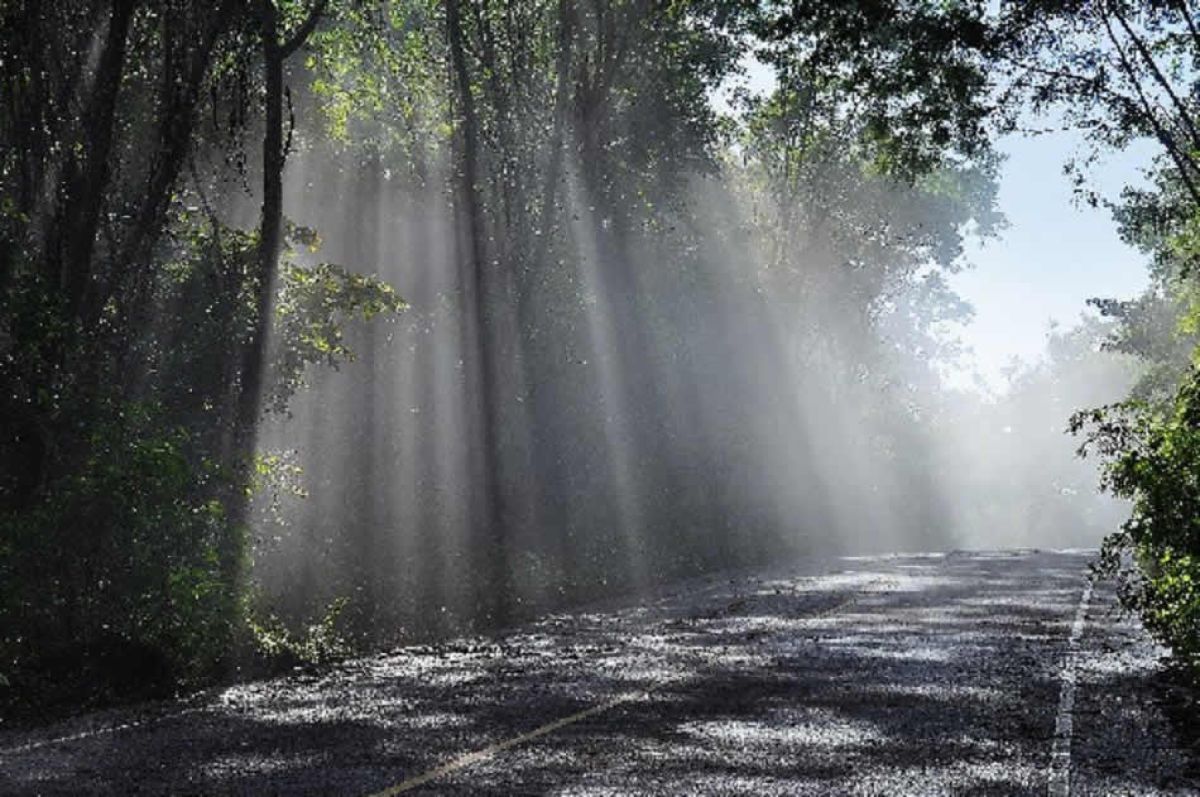 How to implement eco driving in your fleet